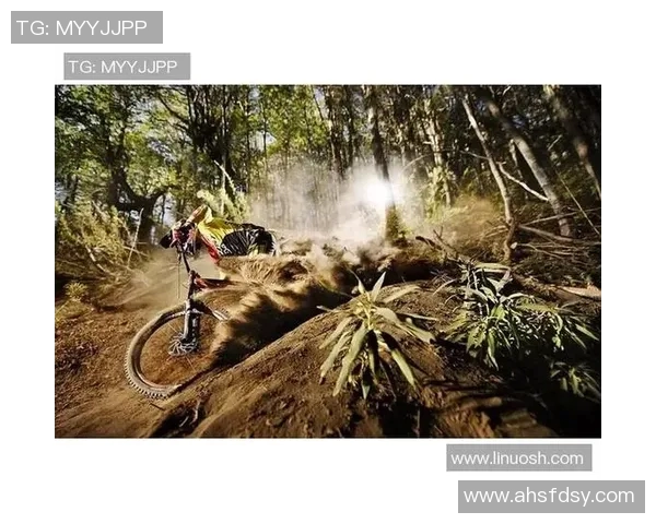 广州极限运动队速度对比深度解析与各队表现评估